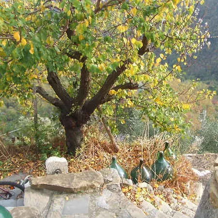 Mit Terrasse, Grill Und Panoramablick بادالوكو